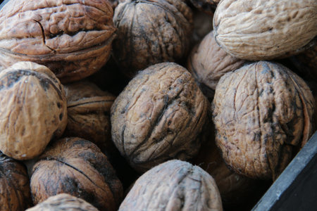 walnuts lie on a side table, rural market ideaの写真素材