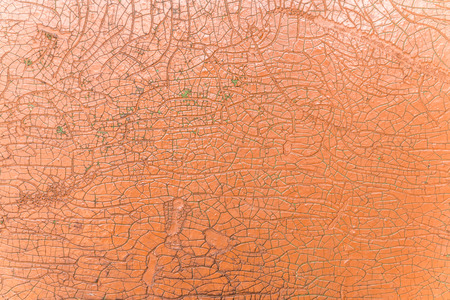 Texture of old wood of different colorsの写真素材