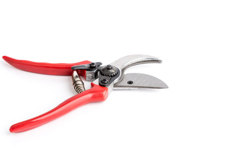 Red garden pruner on the white backgroundの写真素材