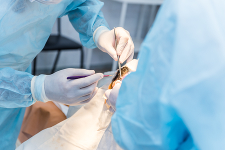 the hands of surgeons physicians doing surgery to the patient in the clinic, the concept of photo medicine, professional doctors, anesthesiaの写真素材