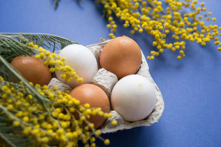 Easter background, eggs on a blue background, decorated with Mimosa flowers, flatlay, top view, empty space for text.の写真素材
