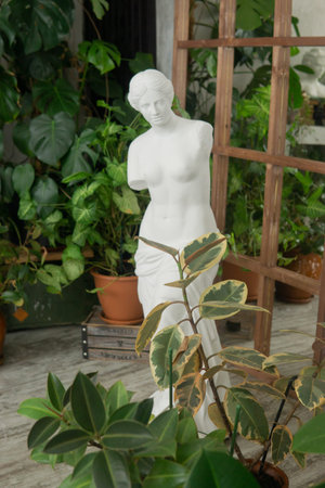 A fragment of the interior with a variety of indoor plants and plaster sculptures. Urban jungle concept. Biophilia design.の写真素材