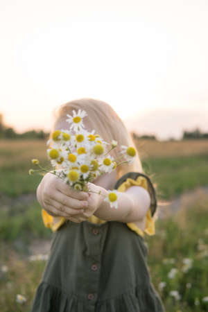 A little blonde girl is sitting walking on a chamomile field and collecting a bouquet of flowers. The concept of walking in nature, freedom and a clean lifestyle.の写真素材