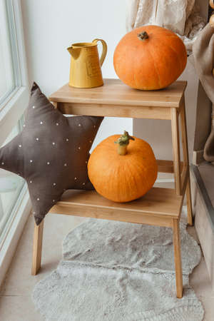 Autumn interior in a photo studio, with pumpkins, a vase and a wooden stool.の写真素材