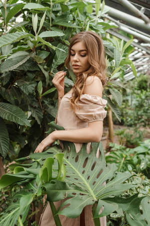 A beautiful young woman takes care of plants in a greenhouse. The concept of gardening and an eco-friendly lifestyleの写真素材