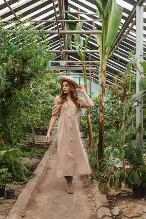 A beautiful young woman takes care of plants in a greenhouse. The concept of gardening and an eco-friendly lifestyleの写真素材