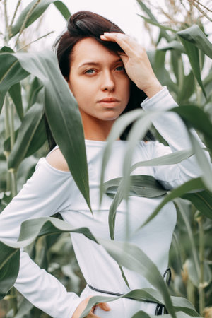 A brunette girl in a white dress in a cornfield. The concept of harvestingの写真素材