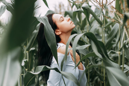 A brunette girl in a white dress in a cornfield. The concept of harvestingの写真素材