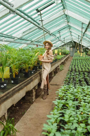 A beautiful young woman takes care of plants in a greenhouse. The concept of gardening and an eco-friendly lifestyleの写真素材