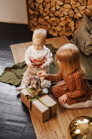 Little brother and sister play on Christmas eve in a beautiful house decorated for the New Year holidays. Children are playing with a Christmas gift.の写真素材