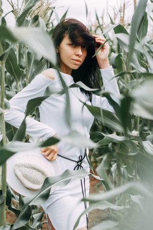 A brunette girl in a white dress in a cornfield. The concept of harvesting