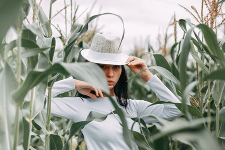 A brunette girl in a white dress in a cornfield. The concept of harvesting