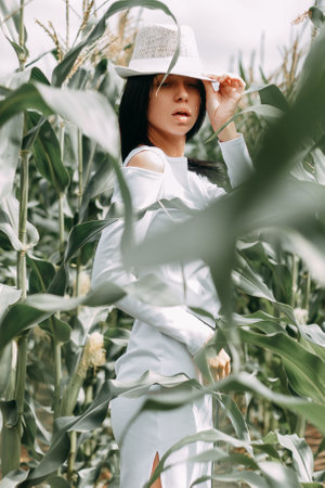 A brunette girl in a white dress in a cornfield. The concept of harvestingの写真素材