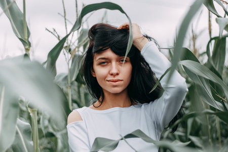 A brunette girl in a white dress in a cornfield. The concept of harvesting