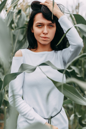 A brunette girl in a white dress in a cornfield. The concept of harvestingの写真素材