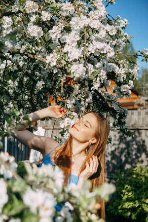 Beautiful young girl in a blue dress in a blooming Apple orchard. Blooming Apple trees with white flowers.の写真素材