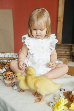 A little girl is sitting on the Easter table and playing with cute fluffy ducklings. The concept of...