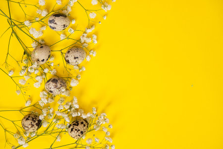 Easter background, quail eggs on a yellow background, decorated with natural botanical elements, flat lay, view from aboveの写真素材
