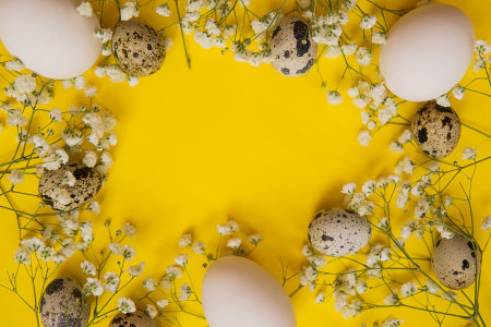 Easter background, various eggs on a yellow background, decorated with natural botanical elements, flat lay, view from above, empty space for textの写真素材
