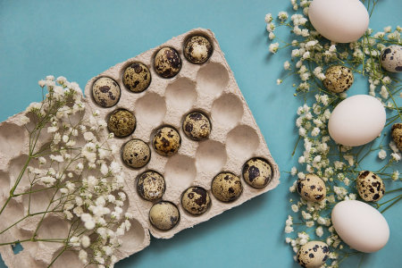 Easter background,various eggs on a blue background, decorated with natural botanical elements, flat lay, view from above, empty space for textの写真素材