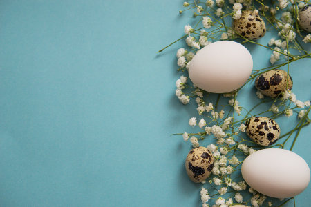 Easter background,various eggs on a blue background, decorated with natural botanical elements, flat lay, view from above, empty space for textの写真素材