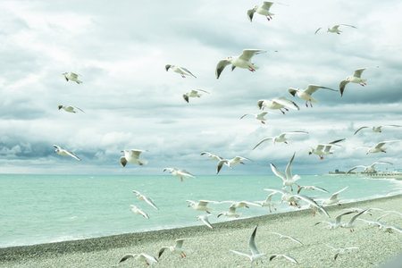 The picturesque coast of the Black Sea, the concept of sea travel and vacation.の写真素材