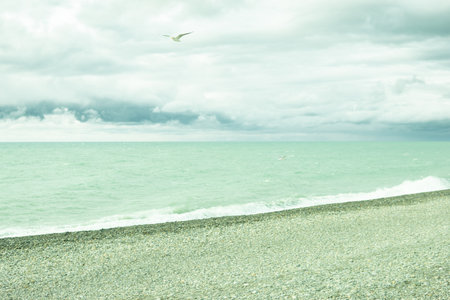 The picturesque coast of the Black Sea, the concept of sea travel and vacation.の写真素材