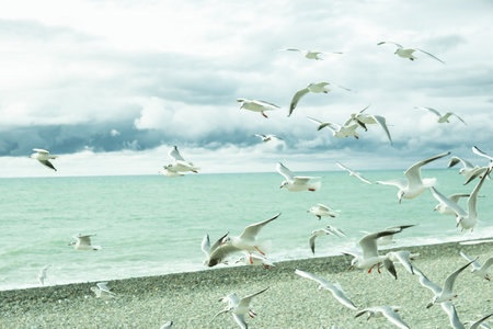 The picturesque coast of the Black Sea, the concept of sea travel and vacation.の写真素材