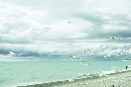 The picturesque coast of the Black Sea, the concept of sea travel and vacation.の写真素材