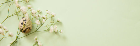Easter background, quail eggs on a mint background, decorated with natural botanical elements, flat lay, view from above, empty space for textの写真素材