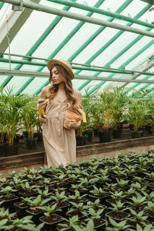 A beautiful young woman takes care of plants in a greenhouse. The concept of gardening and an eco-friendly lifestyle.の写真素材