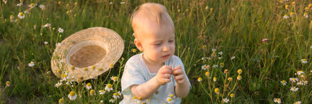 A little blond boy is sitting in the grass in a chamomile field. The concept of walking in nature, freedom and an environmentally friendly lifestyleの写真素材