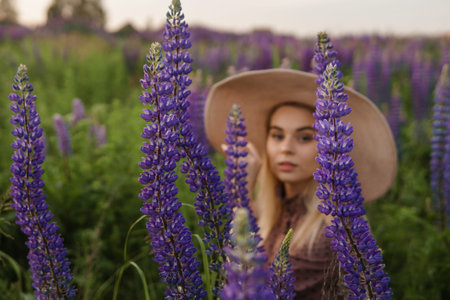 A beautiful woman in a straw hat walks in a field with purple flowers. A walk in nature in the lupin fieldの写真素材