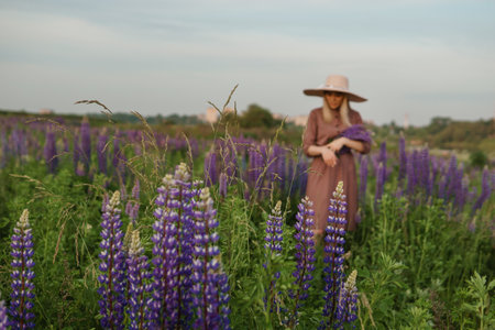 A beautiful woman in a straw hat walks in a field with purple flowers. A walk in nature in the lupin fieldの写真素材