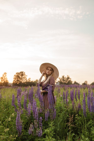 A beautiful woman in a straw hat walks in a field with purple flowers. A walk in nature in the lupin fieldの写真素材
