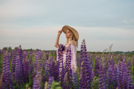 A beautiful woman in a straw hat walks in a field with purple flowers. A walk in nature in the lupin fieldの写真素材
