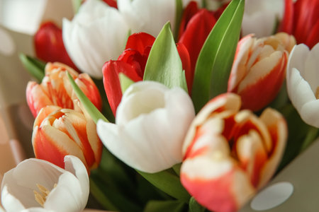 Spring Inspiration: Tulip Bouquet in Honor of International Womens Day.の写真素材