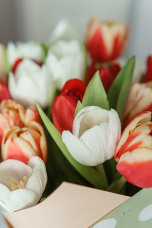 Celebration of Beauty: Tulips in Close-up as a Gift for March 8thの写真素材