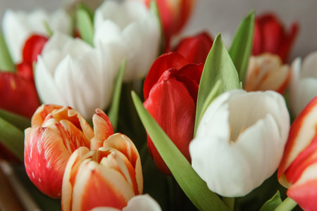 Spring Gift: Bright Tulip Bouquet for a Special March 8th Celebrationの写真素材