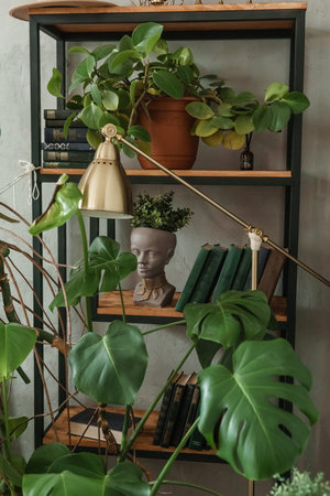 A fragment of the interior with a variety of indoor plants and plaster sculptures. Urban jungle concept. Biophilia design.の写真素材