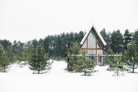 A country house in nature in winter. Rest in an ecologically clean place in winter. Glamping in natureの写真素材