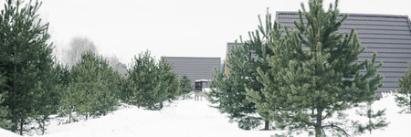 A country house in nature in winter. Rest in an ecologically clean place in winter. Glamping in natureの写真素材