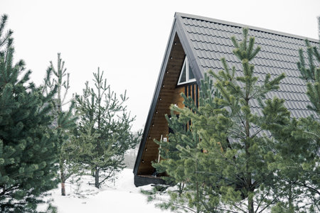 A country house in nature in winter. Rest in an ecologically clean place in winter. Glamping in nature.の写真素材