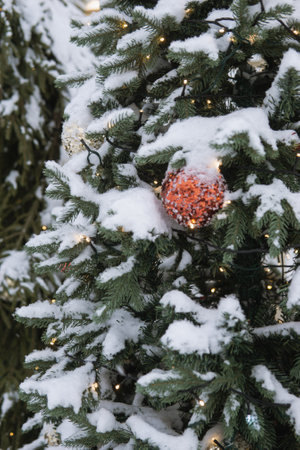 Christmas trees decorated with red balloons in front of the cafe entrance.の写真素材