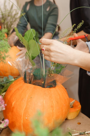 Creating a floral composition in a pumpkin. Making decor with your own hands.の写真素材