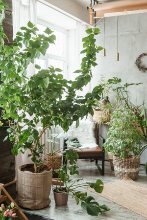 A fragment of the interior with a variety of indoor plants and plaster sculptures. Urban jungle concept. Biophilia design.の写真素材