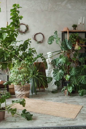 A fragment of the interior with a variety of indoor plants and plaster sculptures. Urban jungle concept. Biophilia design.の写真素材
