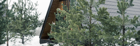 A country house in nature in winter. Rest in an ecologically clean place in winter. Glamping in nature.の写真素材