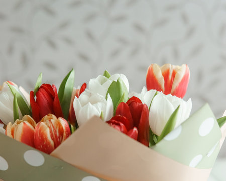 Celebration of Beauty: Tulips in Close-up as a Gift for March 8thの写真素材