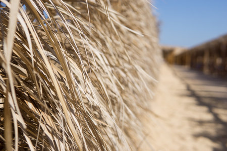 Close up of dry straw roof edge on a sunny beach. Provides natural shade along a sandy path. Summer Holiday and tropical vacation concept backgroundの写真素材